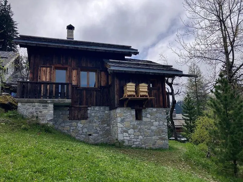 Meribel Altitude1600 Chalet 6 Personnes En Pleine Nature Au Milieu Des Pistes (Adults Only) 0*,  Frankreich